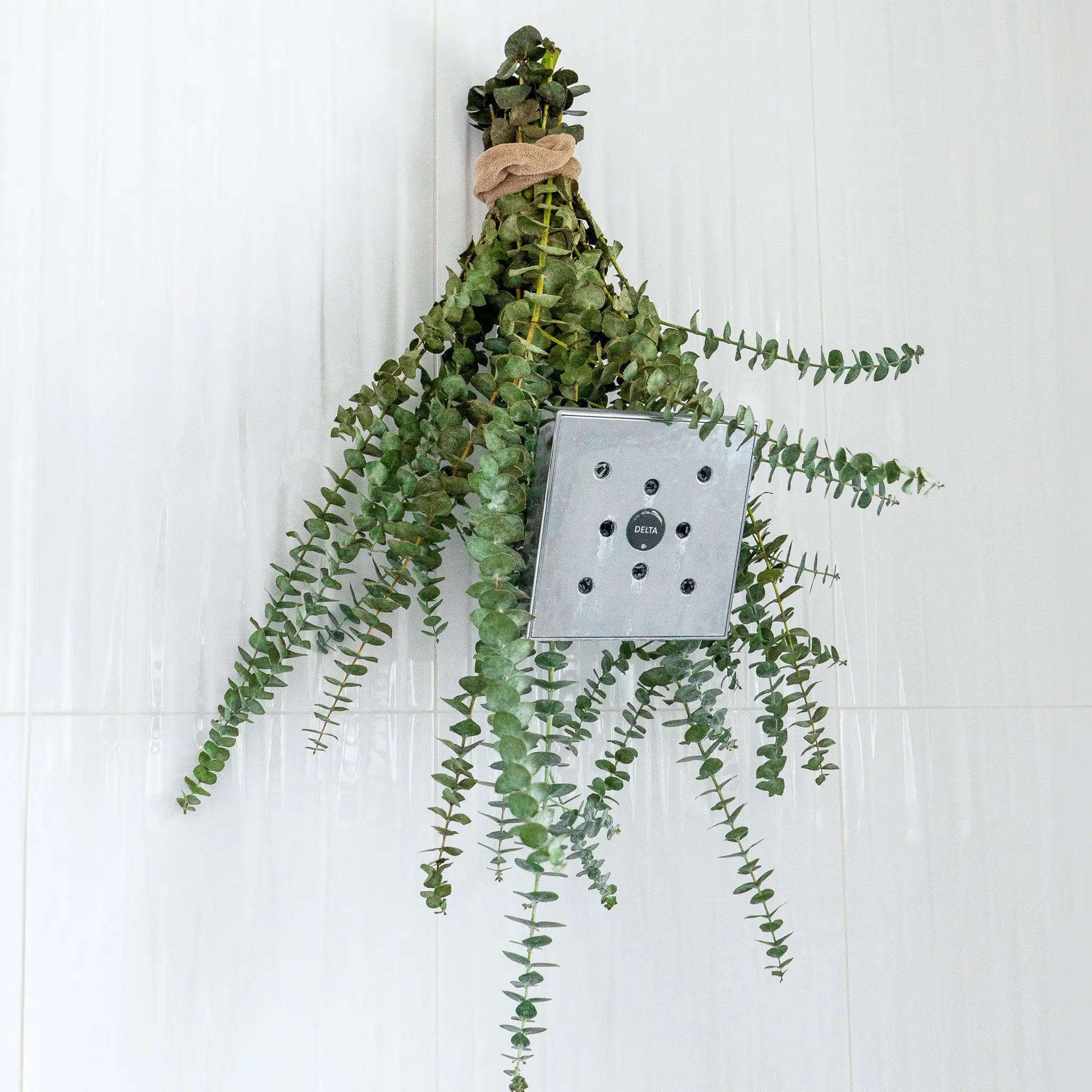 Shower Eucalyptus Bouquet — closer look