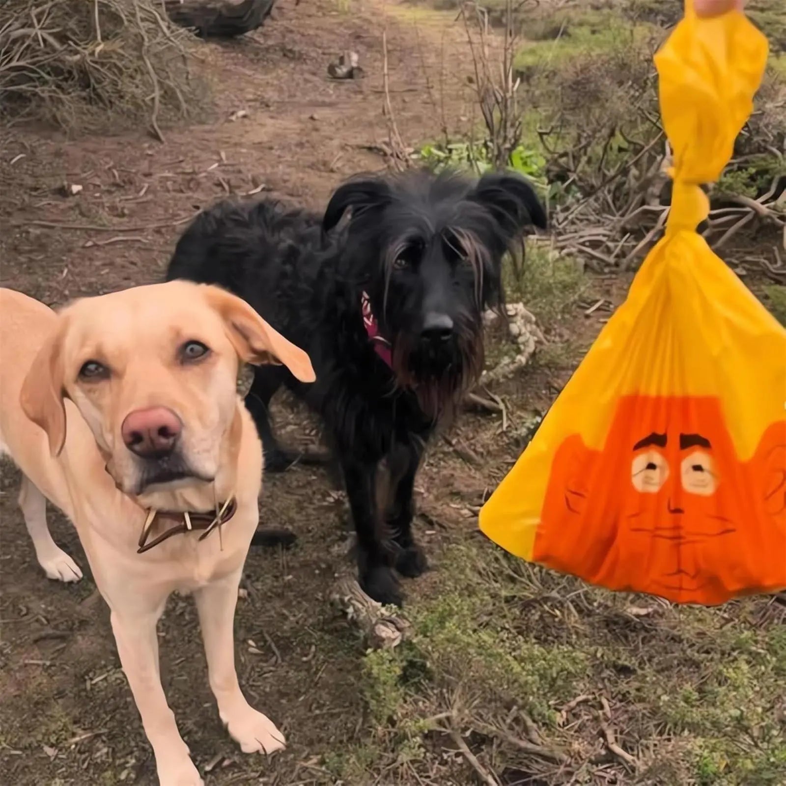 Funny Dog Poop Bags — closer look