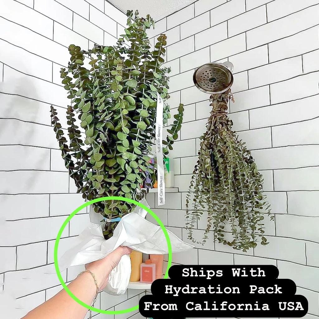 Shower Eucalyptus Bouquet — alternate view