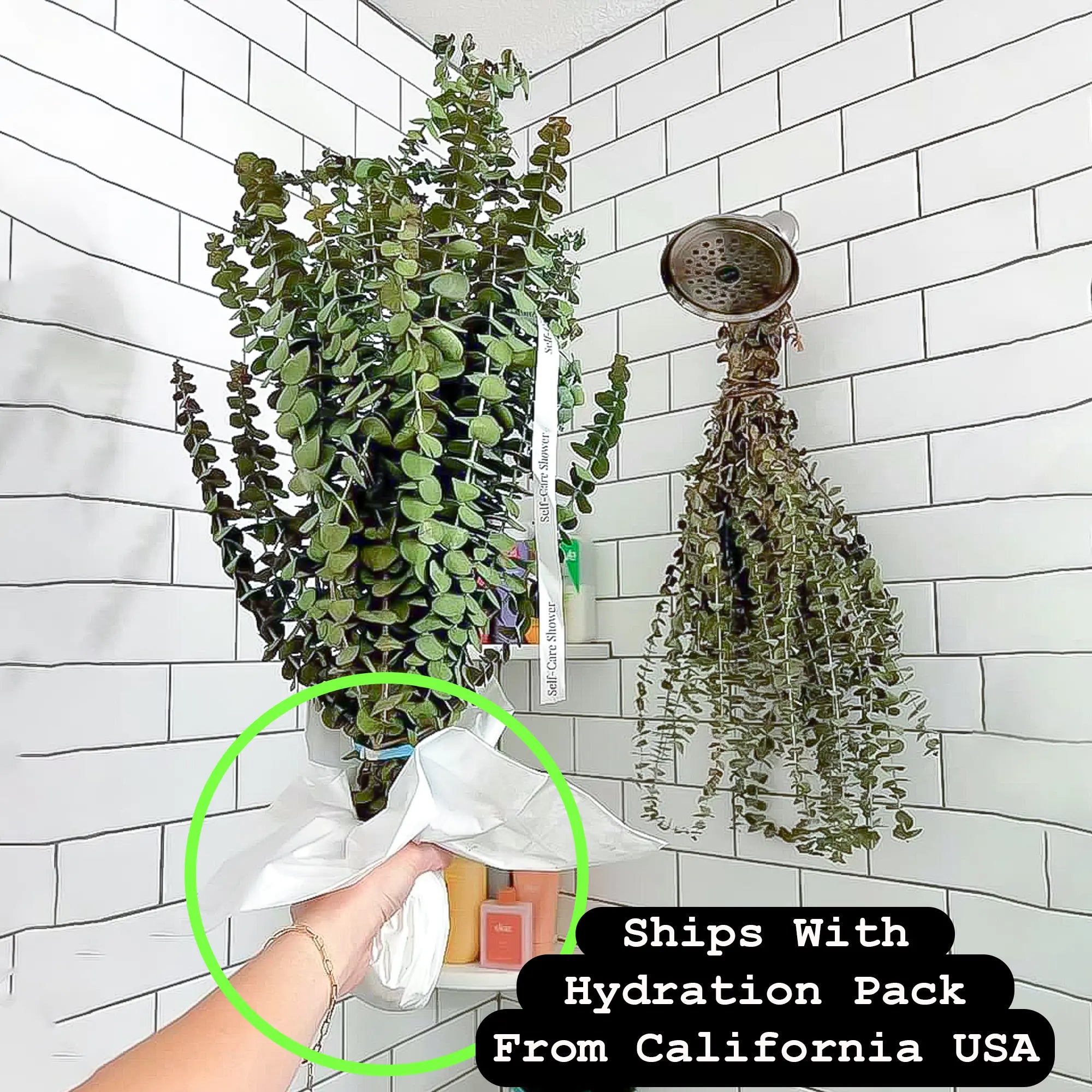 Shower Eucalyptus Bouquet — alternate view