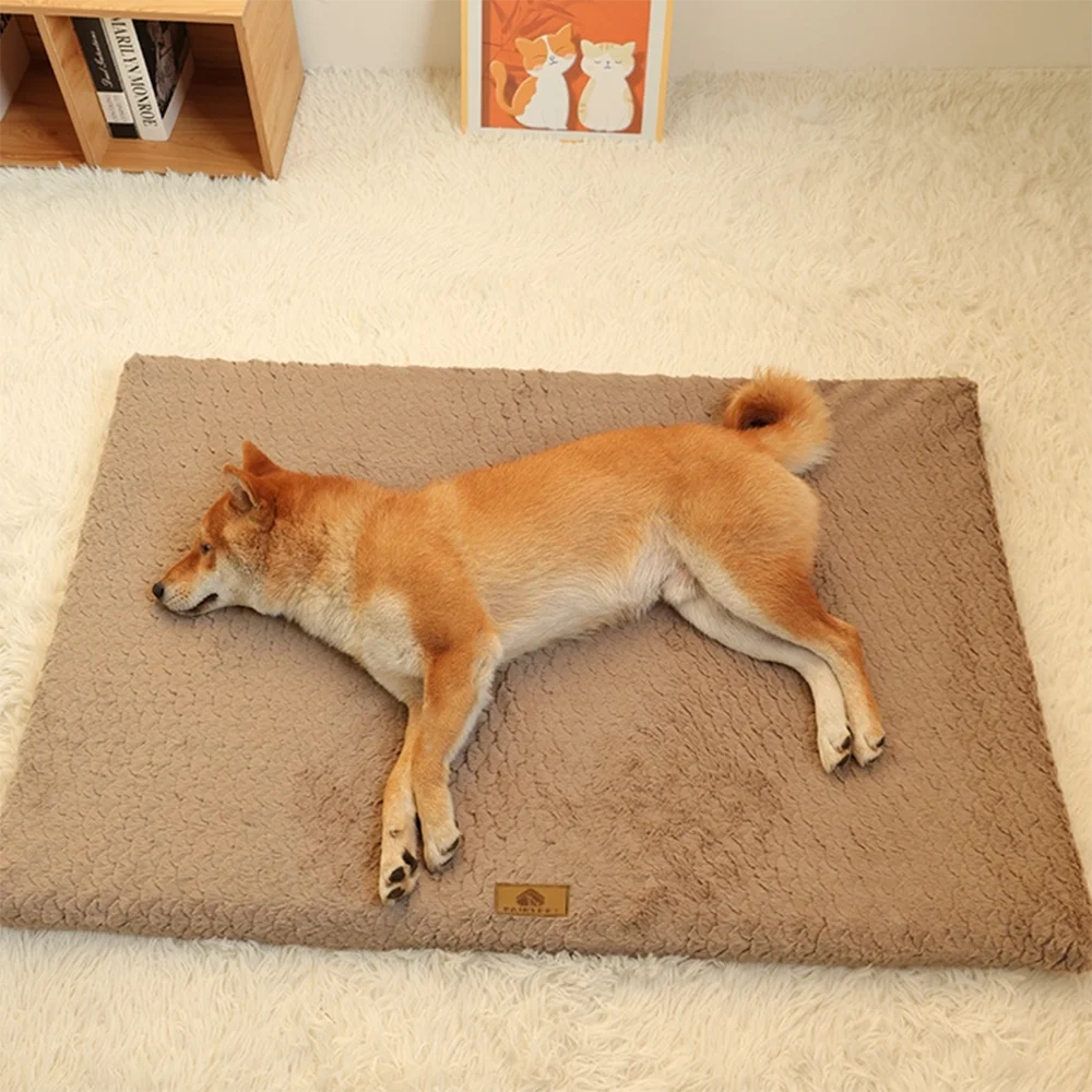 Orthopedic Memory Foam Dog Bed — alternate view