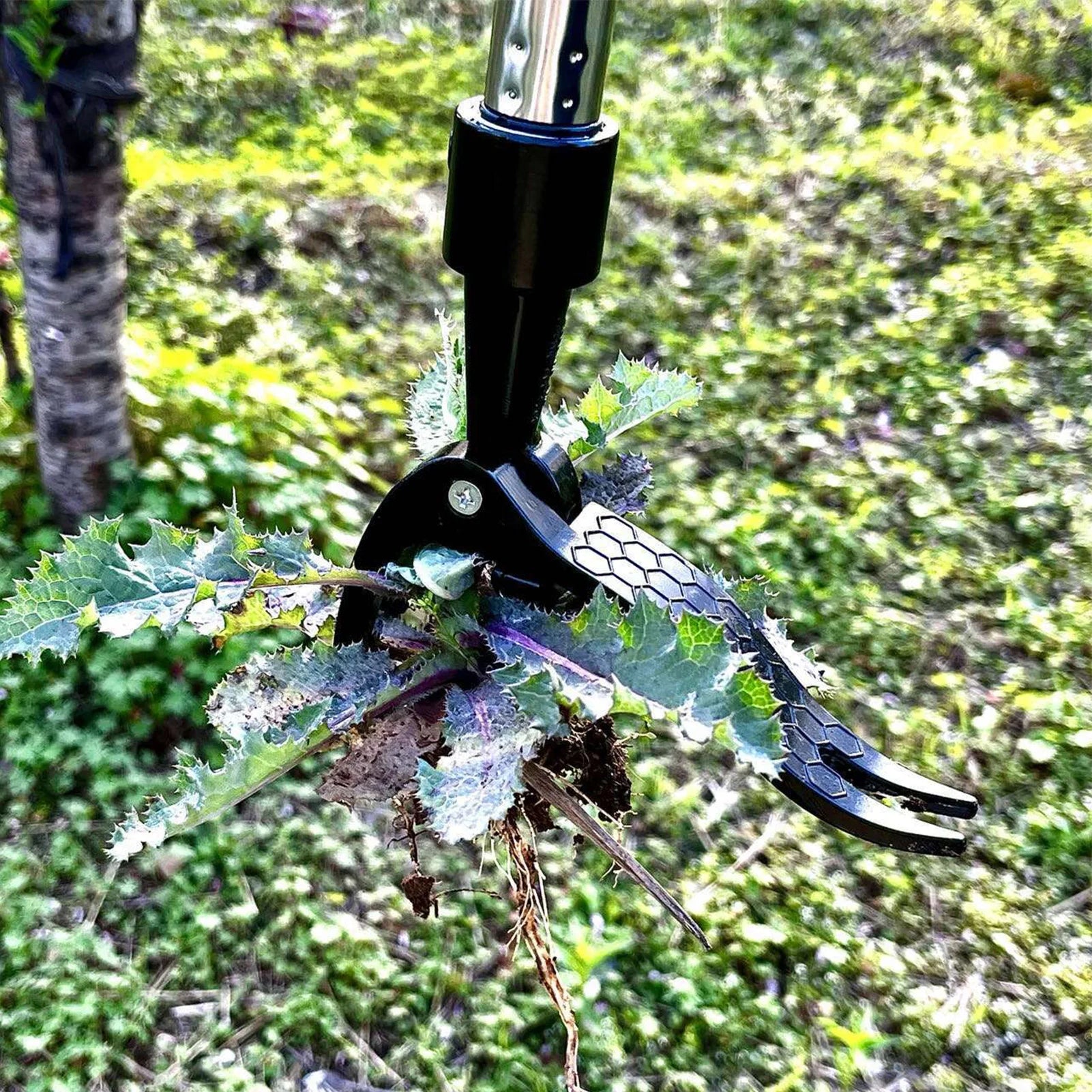 Stand-Up Weed Puller Tool