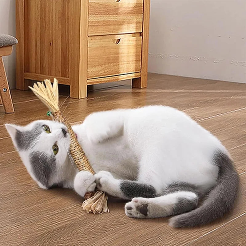 Cat Dental Care Sticks