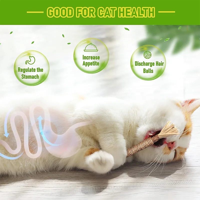 Cat Dental Care Sticks