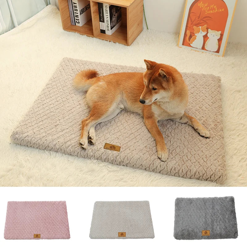 Orthopedic Memory Foam Dog Bed — another view