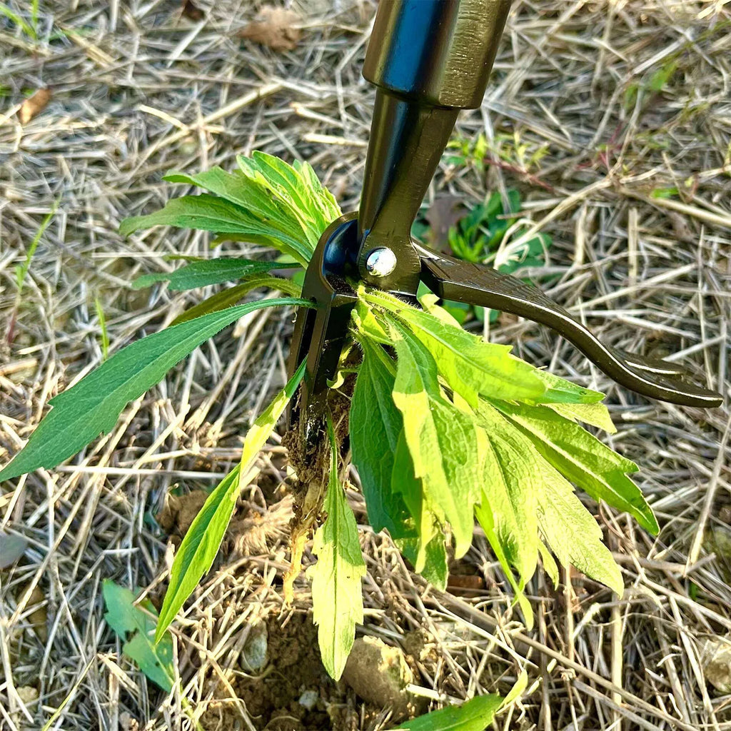 Stand-Up Weed Puller Tool