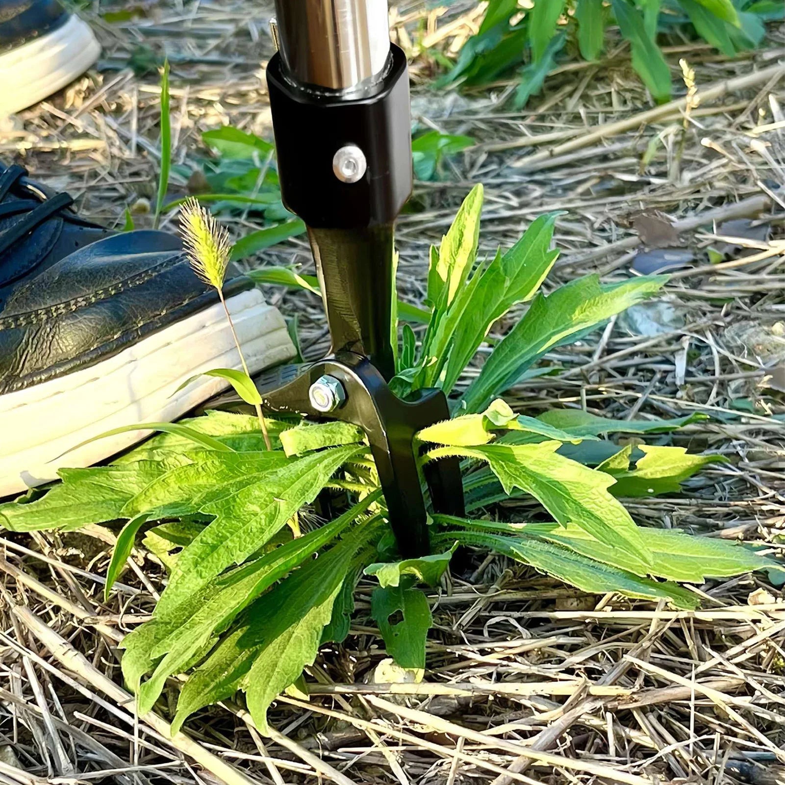 Stand-Up Weed Puller Tool