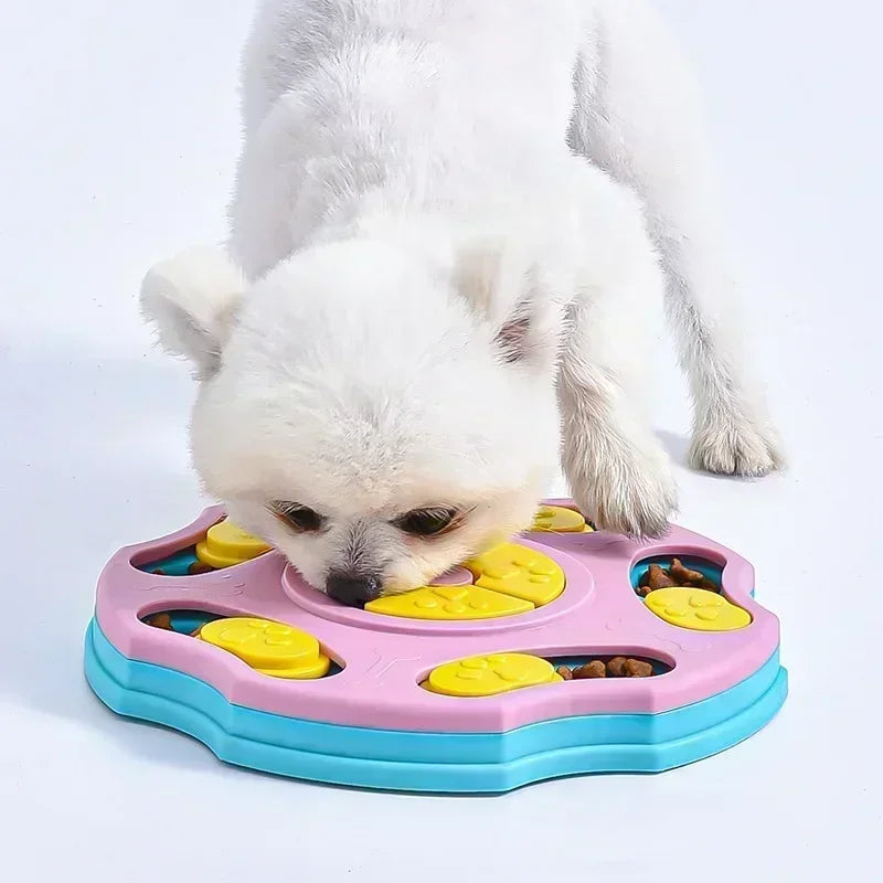 Dog IQ Puzzle Slow Feeder Bowl