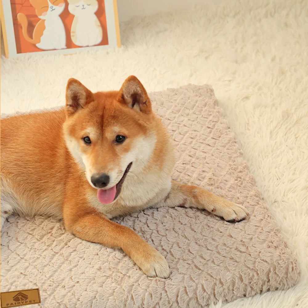 Orthopedic Memory Foam Dog Bed — additional angle