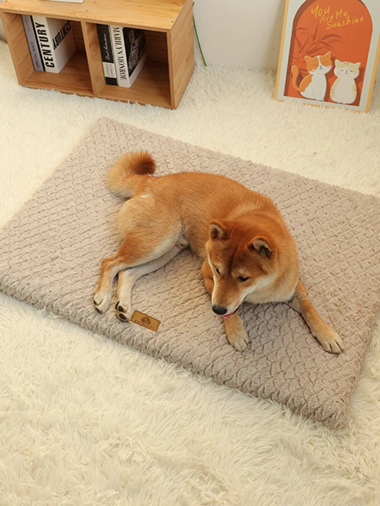 Orthopedic Memory Foam Dog Bed — closer look