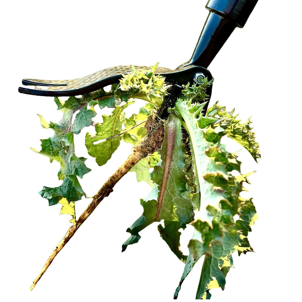 Stand-Up Weed Puller Tool